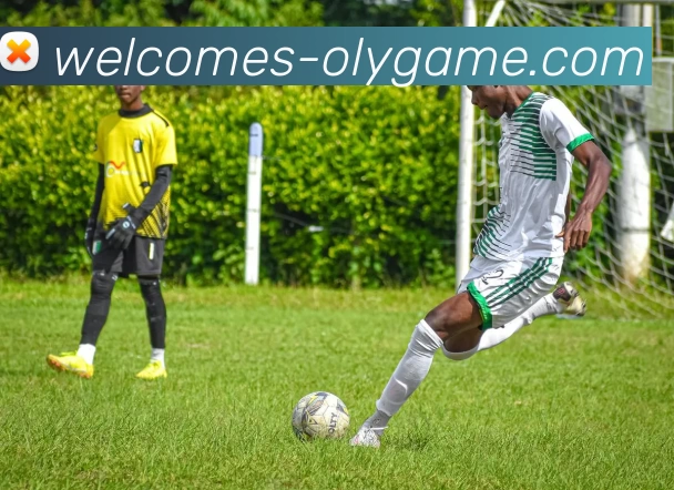 奥林匹斯之门试玩服务体系